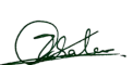 Oyebowale Signature